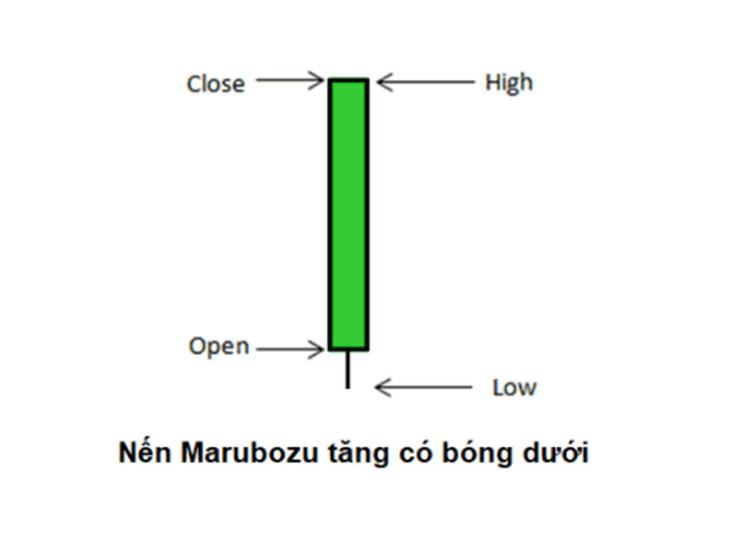 Mô hình nến Marubozu tăng giá có bóng dưới