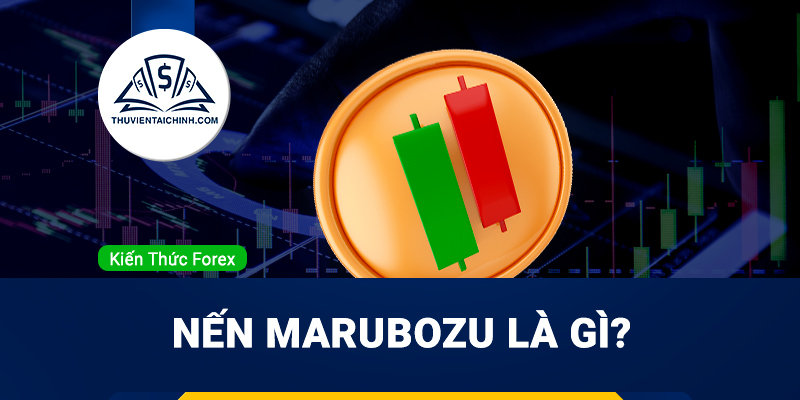 Nến Marubozu là gì? Hướng dẫn giao dịch với mô hình nến Marubozu