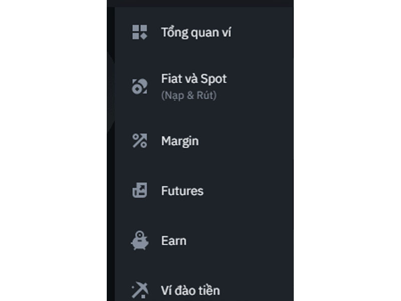 Cách truy cập và các loại ví sàn Binance