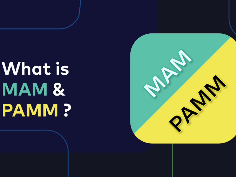 So sánh pamm, mam và sao chép giao dịch Social Trading là gì?