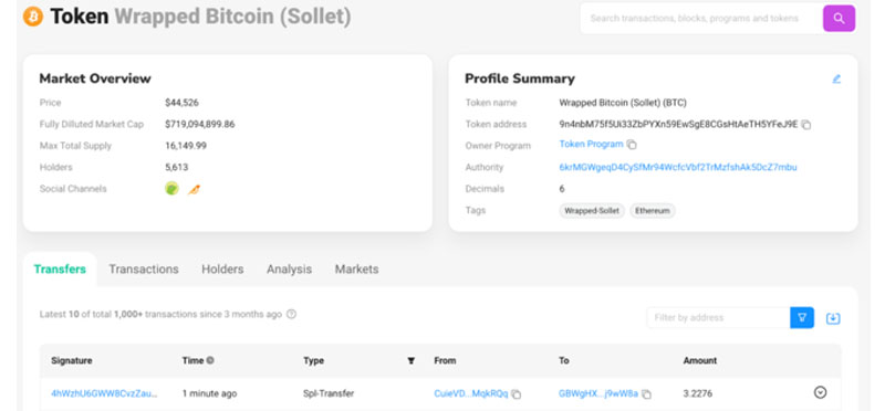 Hướng dẫn cách tìm các token trên SolScan