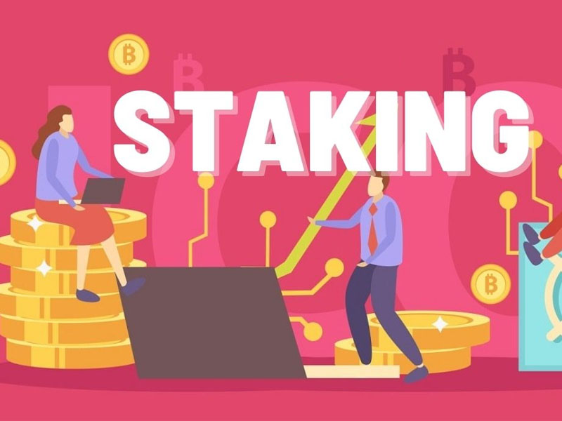 Làm thế nào để tham gia Staking?