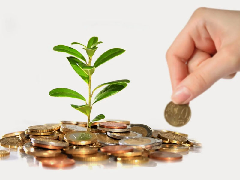 Tìm hiểu quản lý vốn là gì?