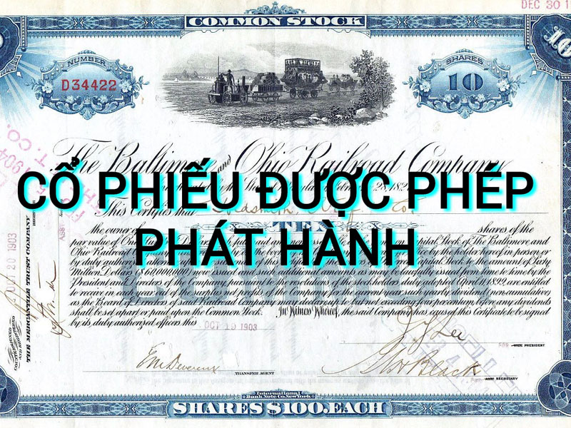 Thông tin cơ bản cổ phiếu bao gồm các phần nào?