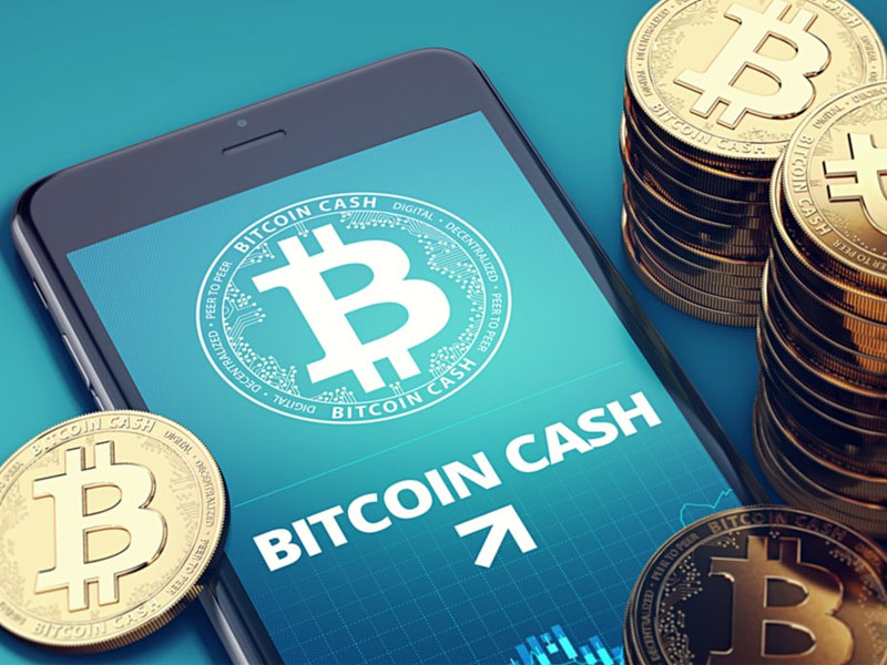 Bitcoin Cash (BCH)