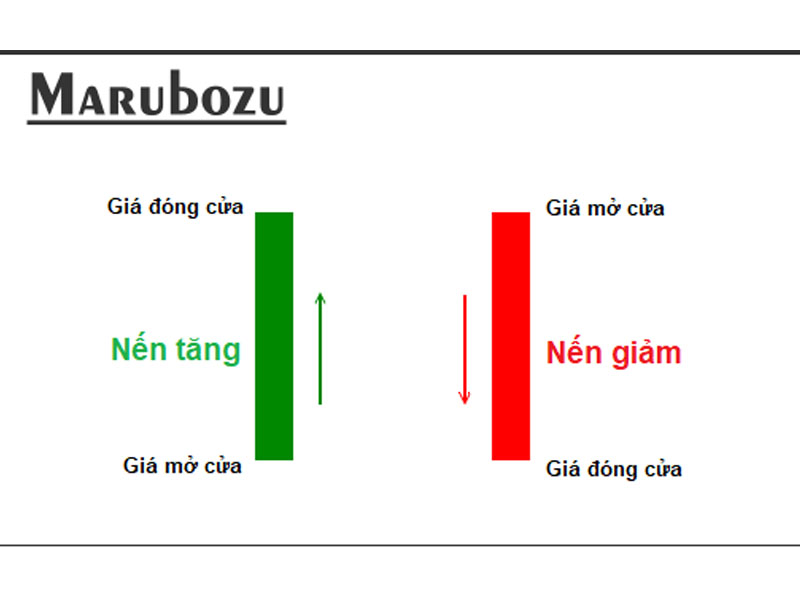 Tìm hiểu mô hình nến Marubozu