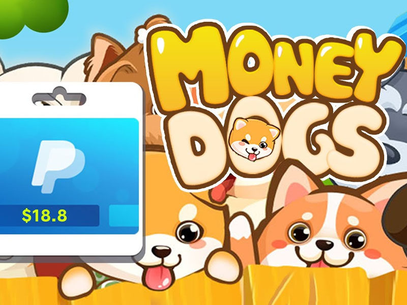 Money Dog