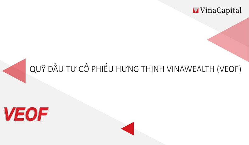 Quỹ đầu tư cổ phiếu Hưng Thịnh VinaWealth - VEOF