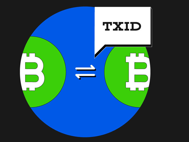 TxID là gì?
