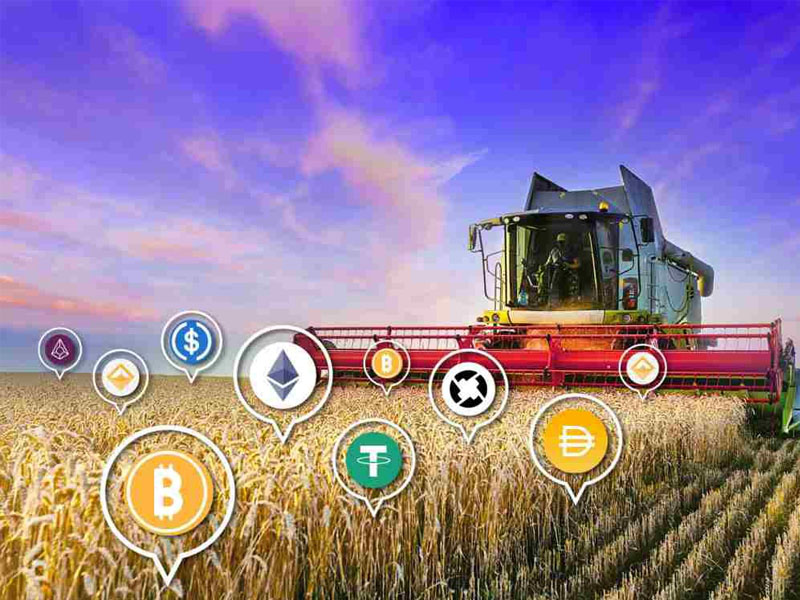 Yield Farming là gì?